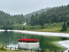 -武陵山森林公园