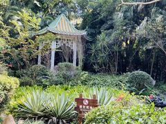 -深圳国际园林花卉博览园