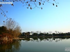 酒店外的风景-汉庭(杭州灵隐寺龙井路店)