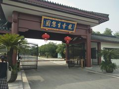 -龙寺生态园