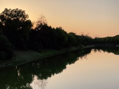 -上海海湾国家森林公园