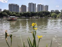 -西宁市人民公园(城西区)