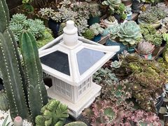 -杨厝六十六农庄农舍(杨厝路店)