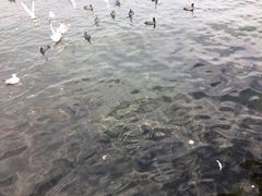 -大洛水码头