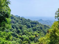 -青城山