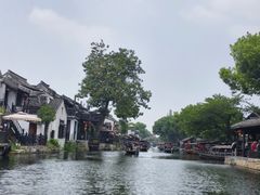 -西塘人家•黑金冠本地好店