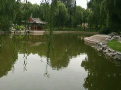 -万柳阁小馆·花园餐厅(龙潭湖店)
