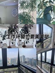 -HEYAN荷妍专业脱毛连锁机构