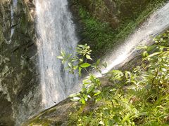 -燕子河大峡谷天坑仙境