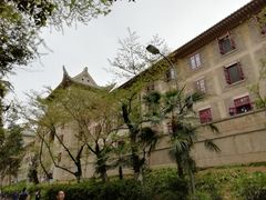 -武汉大学-樱园