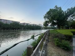 -河泥荡文化公园