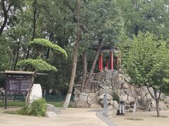 -莲湖公园