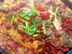 -老板恋上鱼(恒隆广场店)