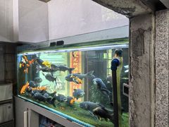 -又见炊烟私房菜(敬亭路店)