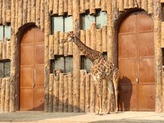 -济南野生动物世界