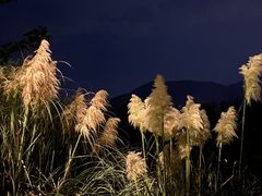 -西昌邛海湿地