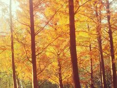 -苏州河梦清园环保主题公园