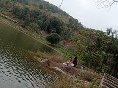 -广州市石门国家森林公园