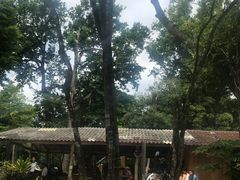 -洛克岛