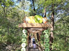 -大岭沟猕猴桃谷风景区