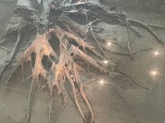 -金沙遗址博物馆