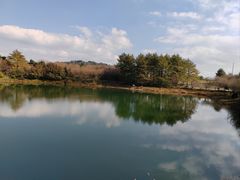 -四明山国家森林公园