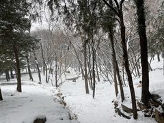 -颐和园