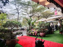 -山水茶艺馆·点心粤菜·30年老字号