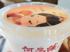 -大鸭梨烤鸭店(花园村店)