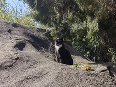 -青岛崂山太清宫