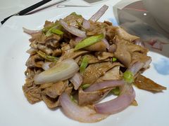 -特克斯八卦城