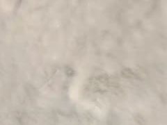 -朝族高丽火盆