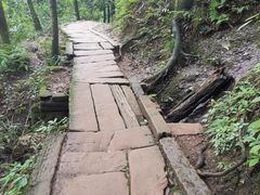 -青城山