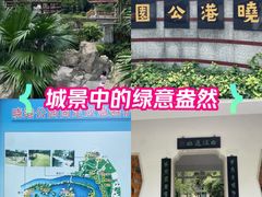 -晓港公园