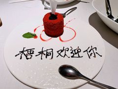 -梧桐