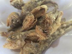 -草根堂农场