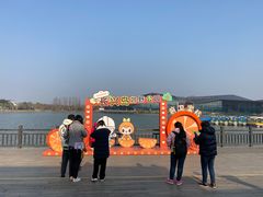 -上海长兴岛郊野公园