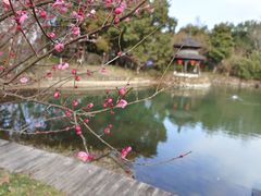 -天目湖山水园