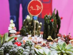 -九秋茶铺(三里屯店)