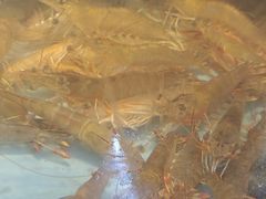 -蚝乡农庄(铁涌赤岸店)