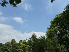 -桤木河湿地公园