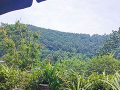 -楠柏弯休闲山庄(梨花溪店)