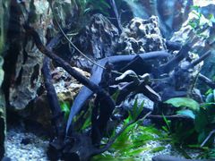 -上海海洋水族馆-停车场