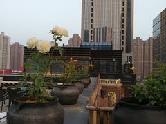 -瓦库茶馆17号(海汇港店)