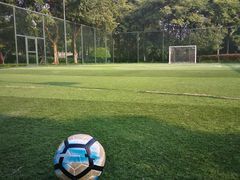 -杭州城北体育公园