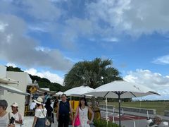 -濑长岛