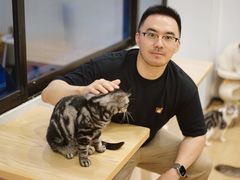-有喵·猫咖·狗咖·30几只猫10只小狗(岗厦店)