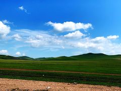 -诺敏塔拉奶茶-布里亚特包子-手把肉(锦都会店)