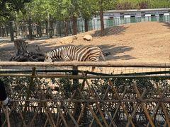 -聚盛源蒸汽海鲜火锅烤肉自助(巨川金海岸购物广场店)