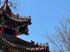 -大连植物园